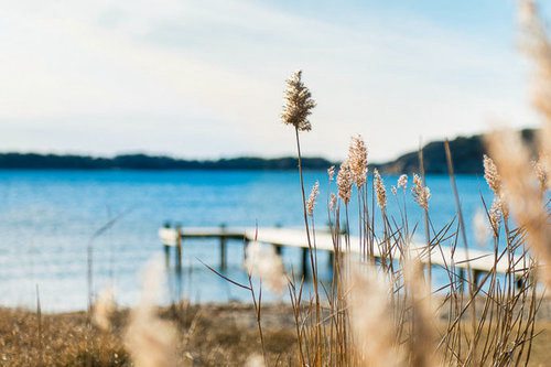 3.8节祝福短信81句