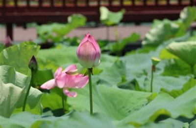 ​沙雕又内涵的男生网名(精选201个)