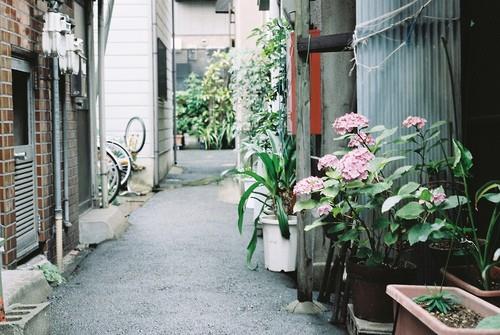 送恋人中秋节祝福语
