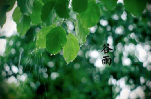 端午节发给客户的信息