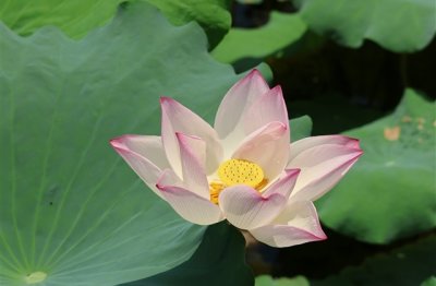 ​霸气独一无二的微信名(精选156个)