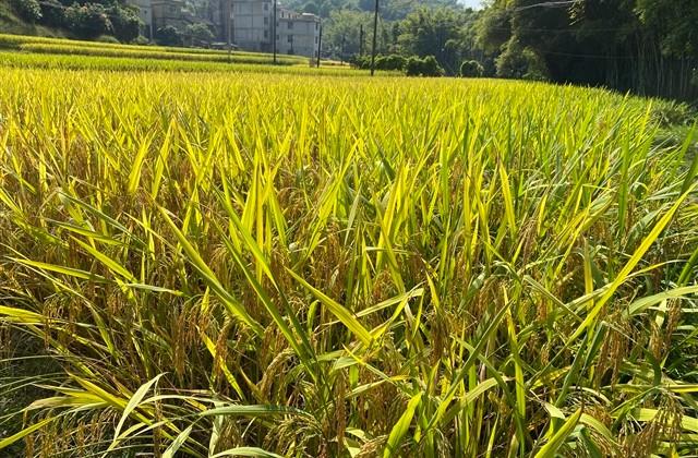 最火特殊符号情侣网名(126个)