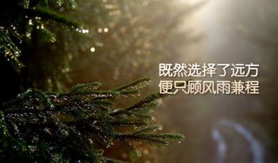 ​五一劳动节祝福语简短文案2025年