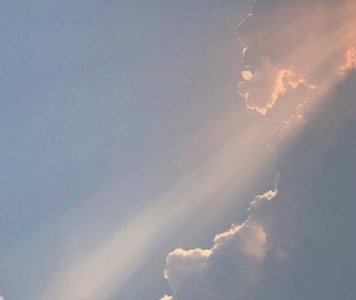 ​牛年春节拜年祝福语顺口溜文案