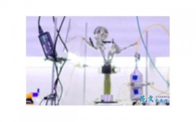 ​简短学习心得体会句子收集120句