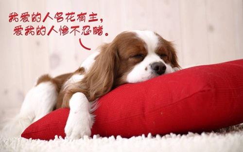 结婚纪念日祝福语 结婚祝福语大全