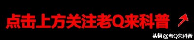 带着妹妹上大学，2005年《感动中国》人物洪战辉的感人事迹
