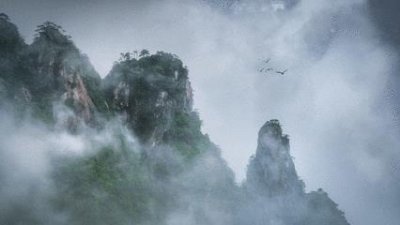 ​全球学子嘉游赣 - 大美上饶 趣游一夏！一起来看“青年体验家”们的上饶之旅