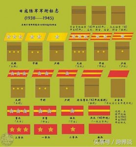​科普：日本军衔等级划分，天皇级别最高，大佐的级别原来是这样的