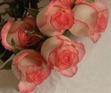 ​生日搞笑短信53句