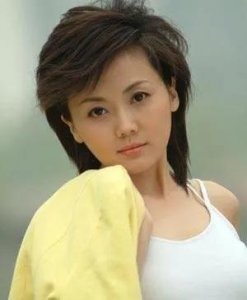 ​央视“女神主播”柴璐到底有多美？（多图）