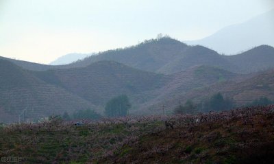 ​人去世后还有灵魂吗？