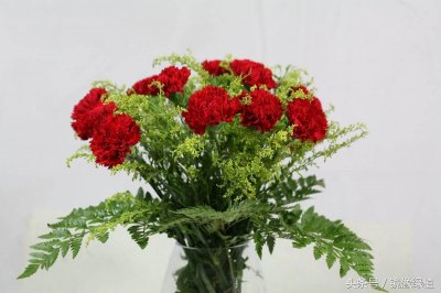 ​最常见的配花“黄莺花”其实是恶性入侵杂草？