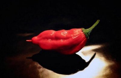 ​世界上第二辣的辣椒，印度鬼椒辣死过人