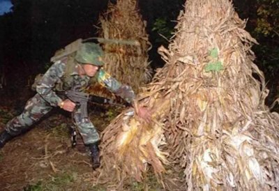 ​1996年26名朝鲜特种兵渗透韩国，4万韩国军警围追堵截，结局呢？
