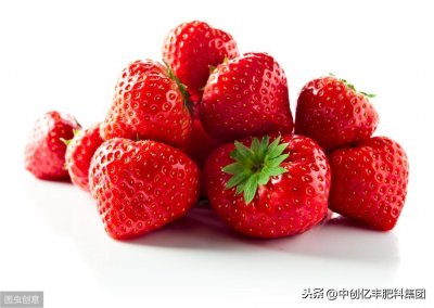 ​牛奶草莓栽培技术