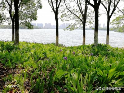 ​湖北省 黄冈市 遗爱湖