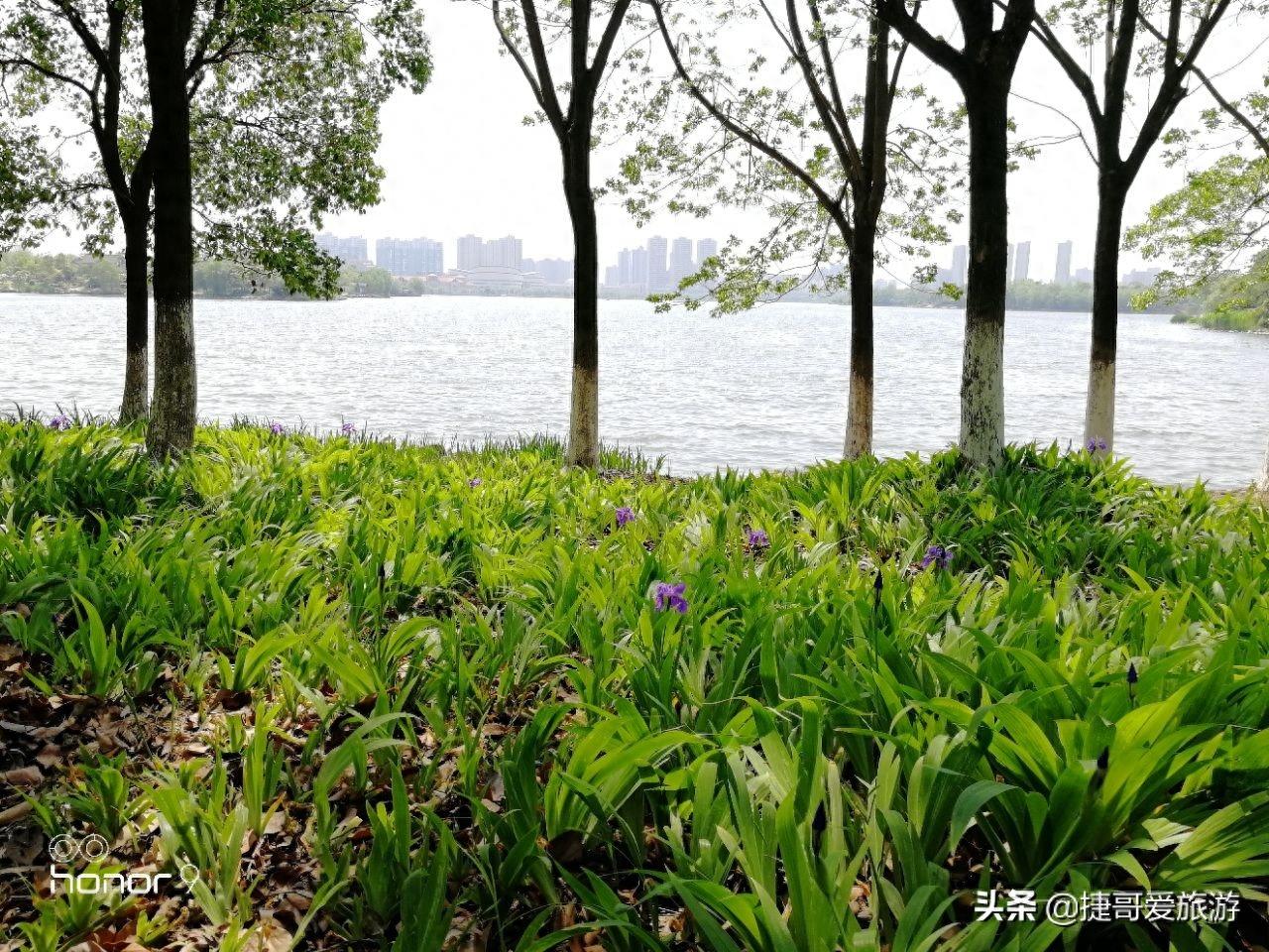 湖北省 黄冈市 遗爱湖