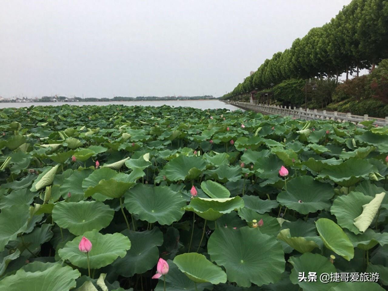 湖北省 黄冈市 遗爱湖