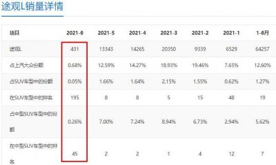 ​难以想象，6月份途观L仅卖出431辆，大众的顶梁柱这是怎么了？