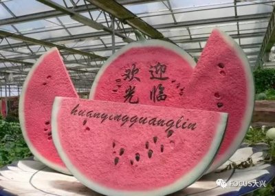 ​「休闲·旅游」“五星级”休闲农庄惊现大兴