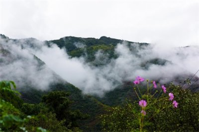 ​紫柏山