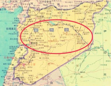 ​阿萨德家族凭什么统领叙利亚近半个世纪？两代人都是能人