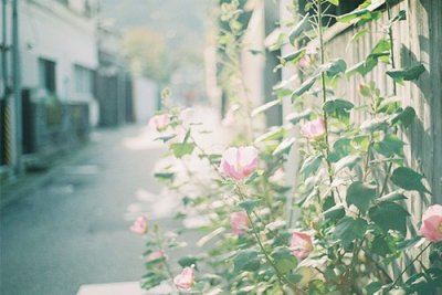 抖音朋友圈逗比搞笑的生日祝福文案(精选67句)
