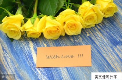 ​给老师写一句祝福语(感谢老师最朴实的句子73句)
