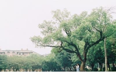 祝福生日快乐