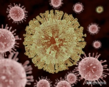 ​MRNA（信使RNA）是什么以及MRNA的特点