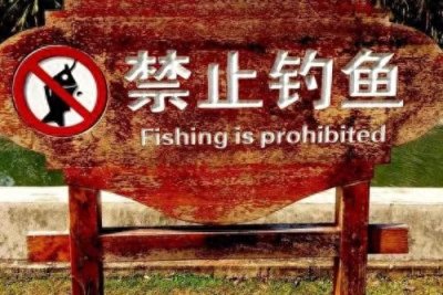 ​为何“泥鳅党”人人喊打？深析那些不为人知的秘密