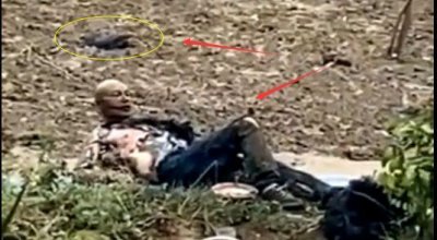 ​江苏一男子高压电线下钓鱼,不慎触电,整个人“瞬间漆黑”