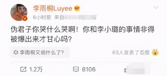 李雨桐谈薛之谦关系（女星弃养被封杀）(9)