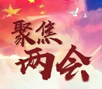 ​3月11日两会热点，目前反响最为热烈的8个提案，今年能实现吗
