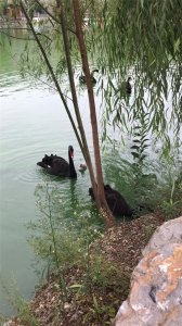 ​洛阳旅游攻略-游马蹄泉，经济实惠又好玩