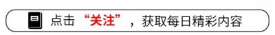 ​国产手机哪个牌子好2024国产手机排行榜前十名