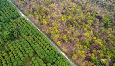 ​瞰江西！秋色斑斓 乡村如画