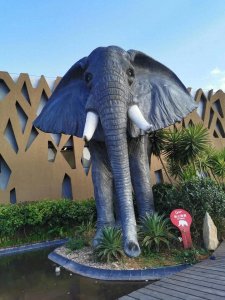 ​平平无奇自然不足挂齿