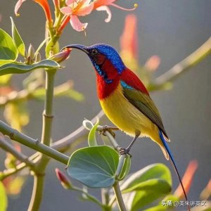 ​名词是什么？都有哪些分类和用法，美朱老师一文讲清楚