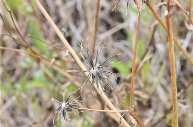 潮流女生2023游戏网名大全(557个) 潮流女生2023游戏网名大全(557个)