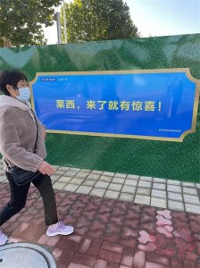 ​莱西属于青岛，莱阳属于烟台。