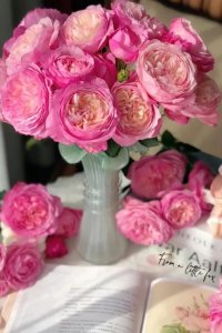 ​人去世后，还会有下辈子吗？