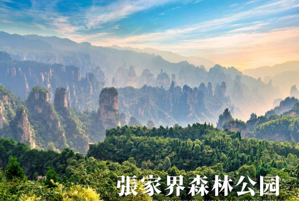 2月国家第一个森林公园,第一个被国家命名为国家森林公园的是哪里图4