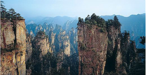 2月国家第一个森林公园,第一个被国家命名为国家森林公园的是哪里图3