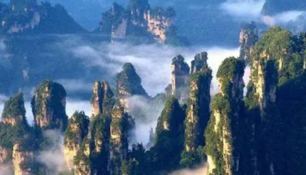 2月国家第一个森林公园,第一个被国家命名为国家森林公园的是哪里图1