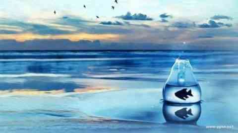 “相濡以沫,不如相忘于江湖”是什么意思?