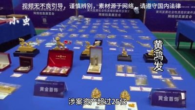 ​盘点海南扫黑除恶 扫掉的5个黑势力家族#真实事件