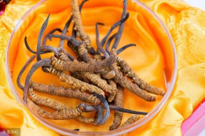 ​冬虫夏草对癌症有帮助吗（冬虫夏草不能治疗癌症）