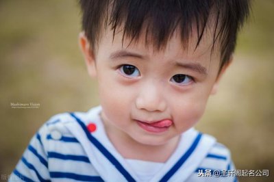 ​带辰的男孩名字(带辰的男孩名字两个字)